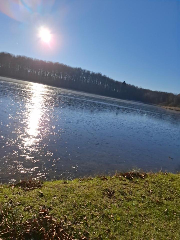 Hochwald Appartement Bad Sachsa Esterno foto