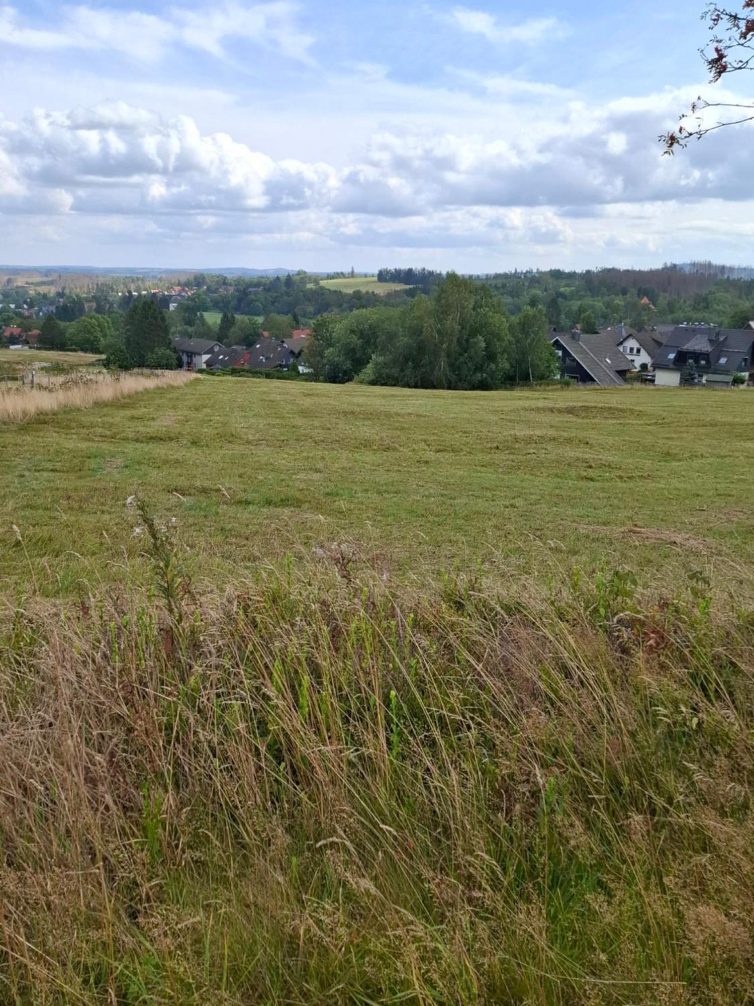 Hochwald Appartement Bad Sachsa Esterno foto