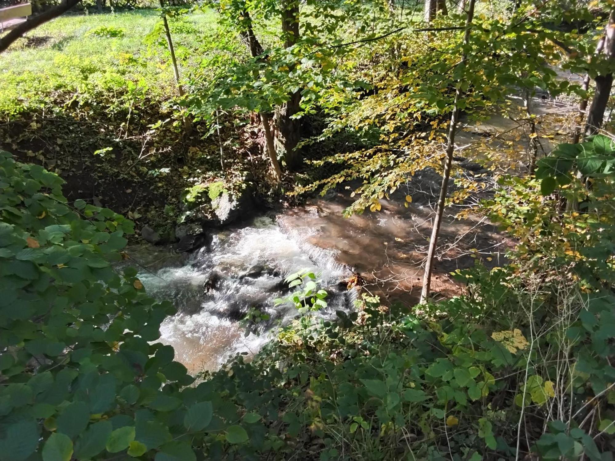 Hochwald Appartement Bad Sachsa Esterno foto