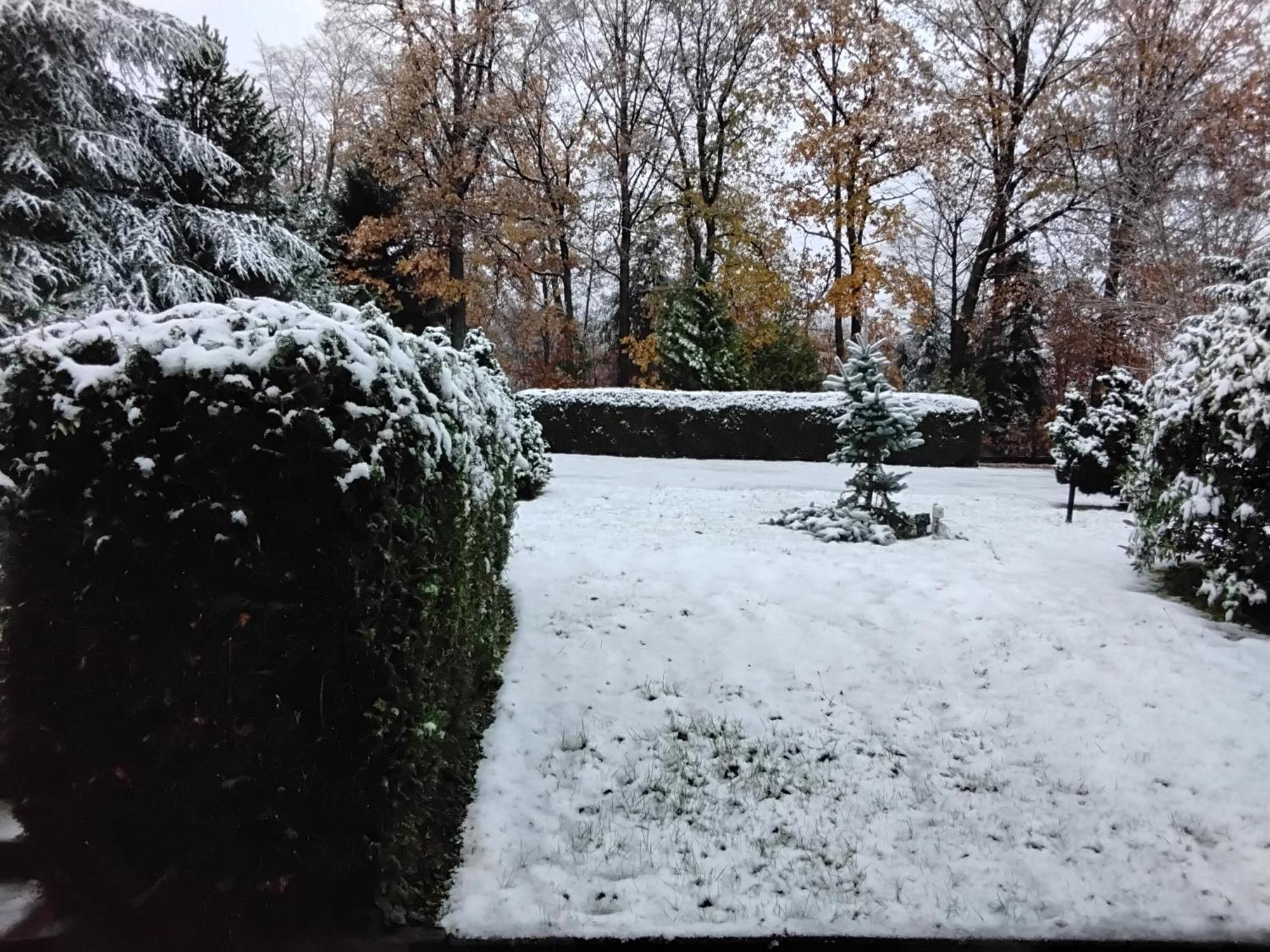 Hochwald Appartement Bad Sachsa Esterno foto